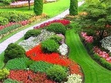 深圳綠化 園林綠化工程施工的實(shí)踐與創(chuàng)新