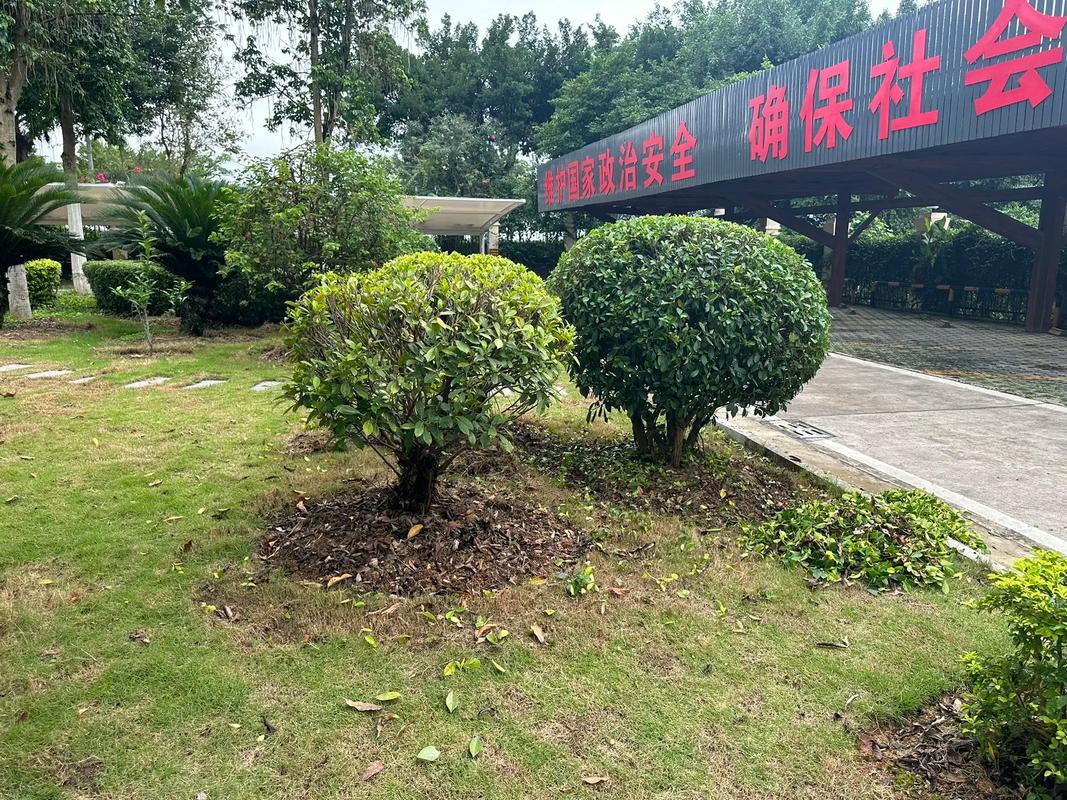 苗木種植基地 園林綠化工程的核心力量與施工要點(diǎn)